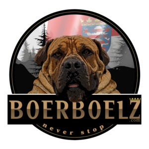 Boerboel Budgess Logo Hessen Flagge